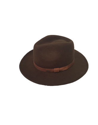 Brown Wide Brim Fedora