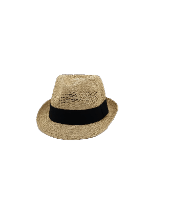 Crushable Summer Trilby