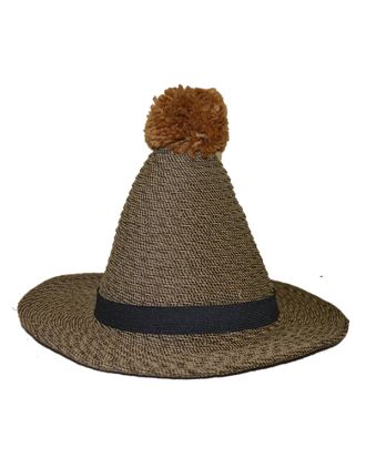 Light Brown Wide Brim Novelty Hat