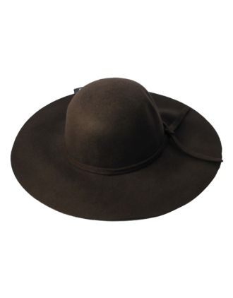 Brown  Floppy Fedora With Wide Brim, Simple Band And Adjustable Lining