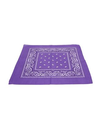 Paisley Designs on Purple Bandana - BND-013