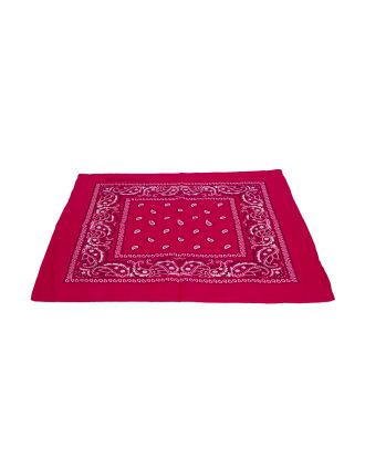 Paisley Designs on Fuchsia Bandana