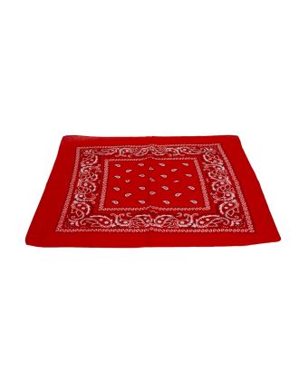 Paisley Designs on Red Bandana  - BND-010