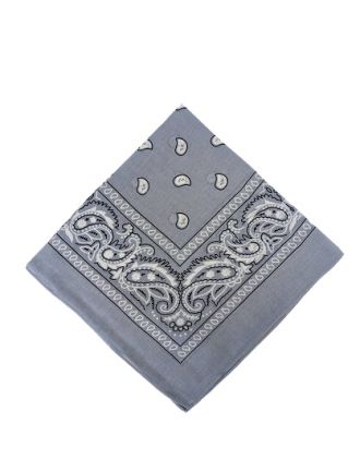 Paisley Designs on Light Grey Bandana