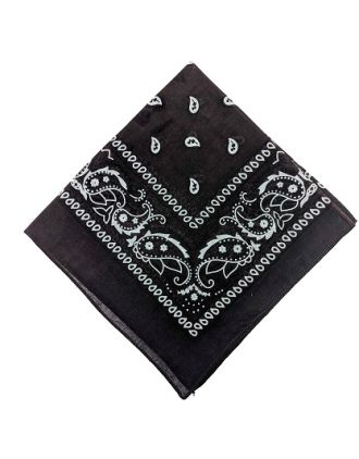 Paisley Designs on Brown Bandana