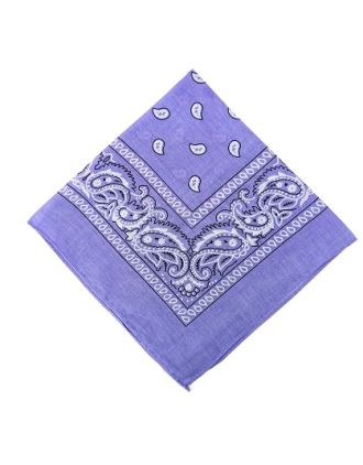 Paisley Designs on Light Purple Bandana