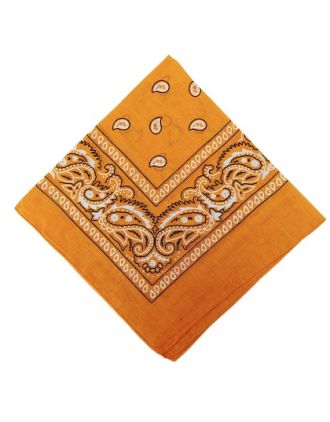 Paisley Designs on Mustard Bandana