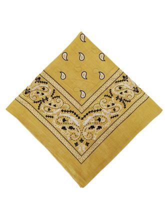 Paisley Designs on Tan Bandana