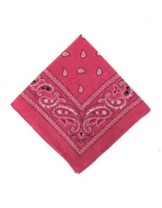 Paisley Designs on Fuchsia Bandana BND-0004