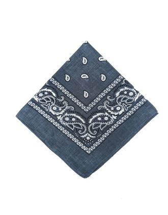 Paisley Designs on Grey Bandana