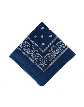 Paisley Designs on Dark Blue Bandana