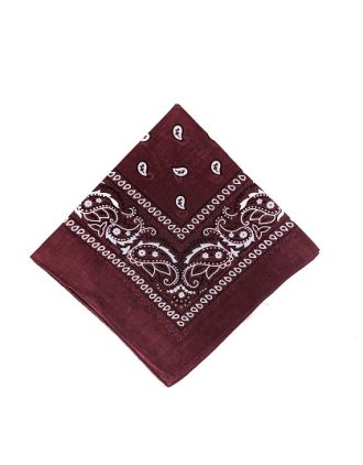 Paisley Designs on Burgundy Bandana