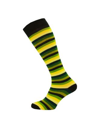 Green Rainbow Thin Striped Knee High Socks - SLK-0720