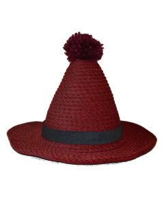 Red Wide Brim Novelty Hat
