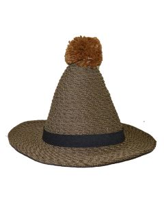 Light Brown Wide Brim Novelty Hat