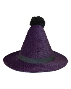 Purple Wide Brim Novelty Hat