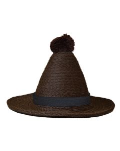Dark Brown Wide Brim Novelty Hat