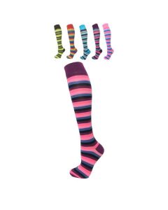 Multi Colour Light Assorted Thin Striped Knee High Socks