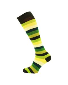 Assorted colours Thick Striped Knee High Socks SLK-3058