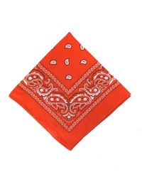 Paisley Designs on Orange Bandana